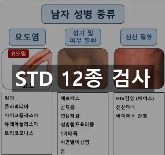 std 12종 검사 완벽 총정리종류 비용 등으로 검사항목_4