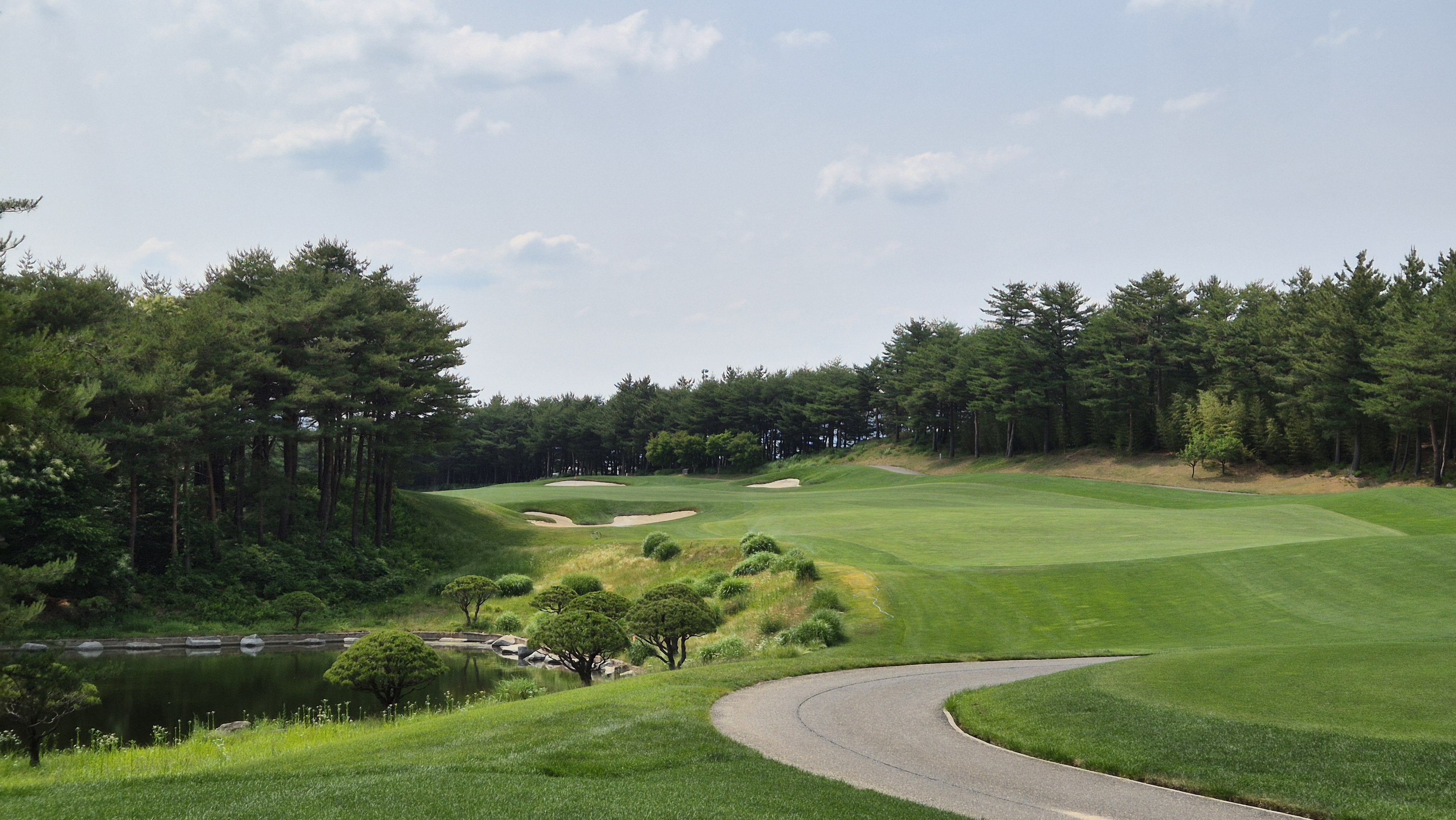 파인리즈cc 후기 및 코스사진