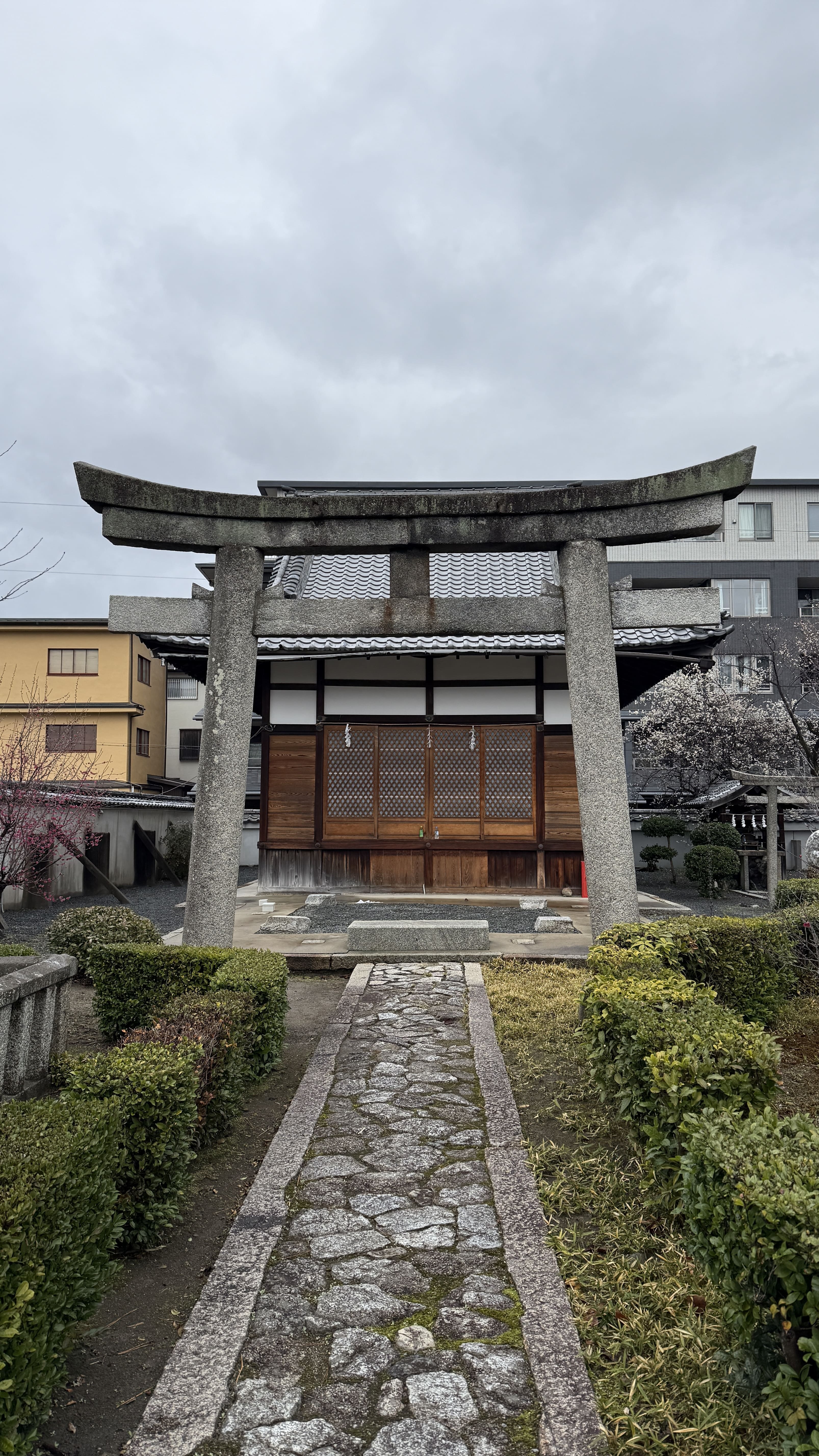 교토-꼭-가봐야-할-곳- 에이칸도-젠린지-ZENRIN-JI-벚꽃 여행