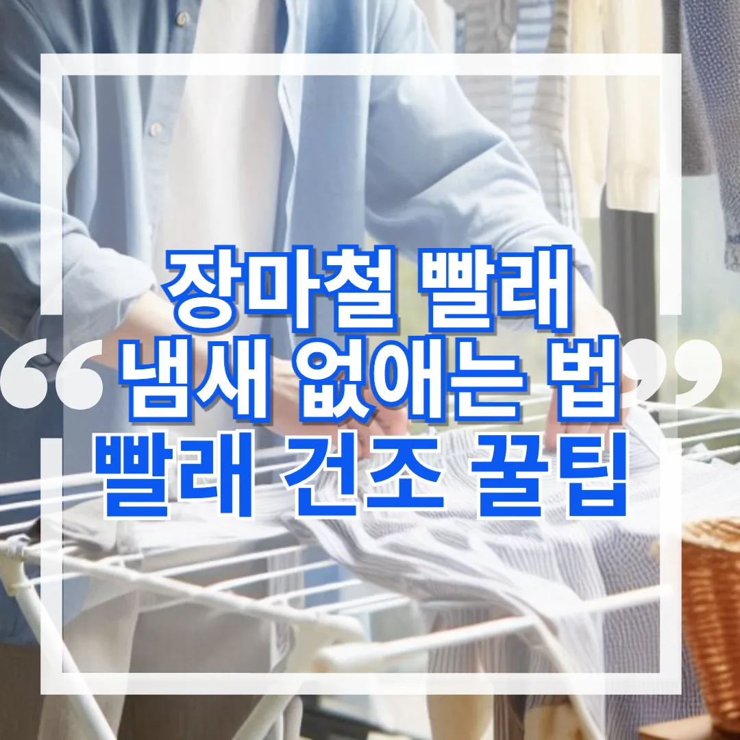 장마철 빨래 냄새 없애는 법과 뽀송뽀송 빨래 건조 꿀팁
