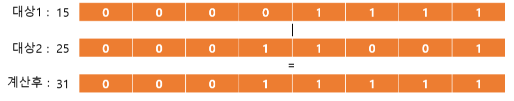 비트 논리연산자2