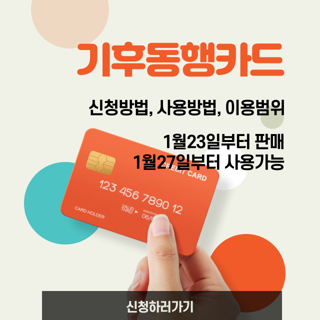 기후동행카드썸네일