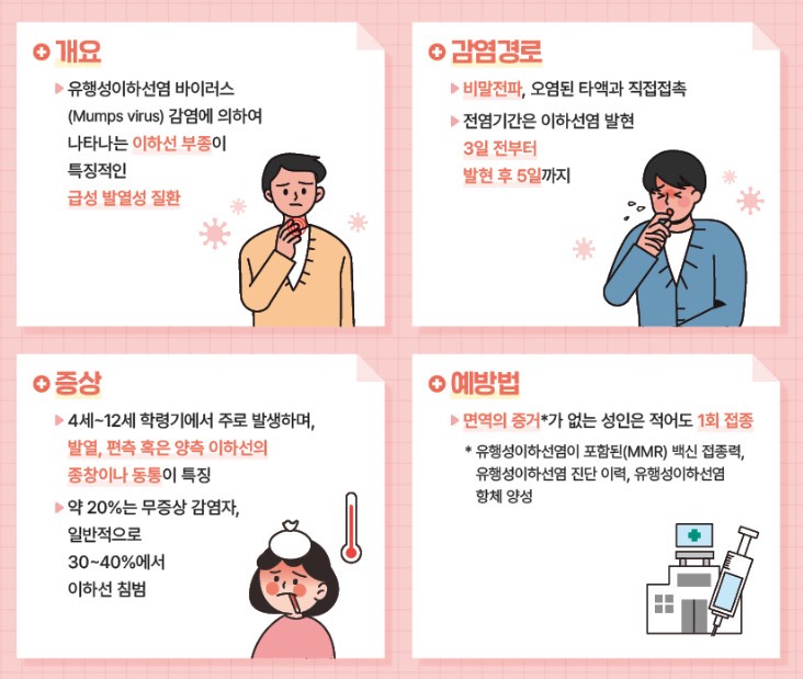 유행성이하선염 볼거리 감염