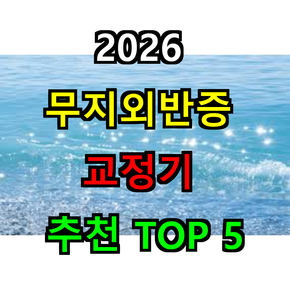 2026 무지외반증 교정기 추천 TOP 5