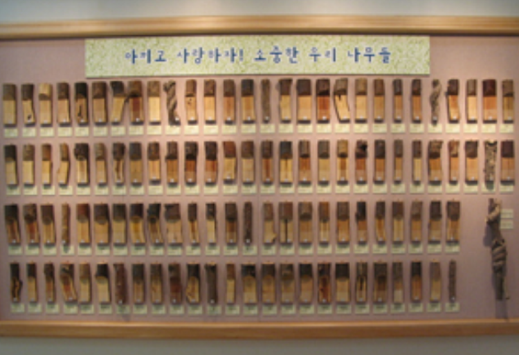물향기 수목원