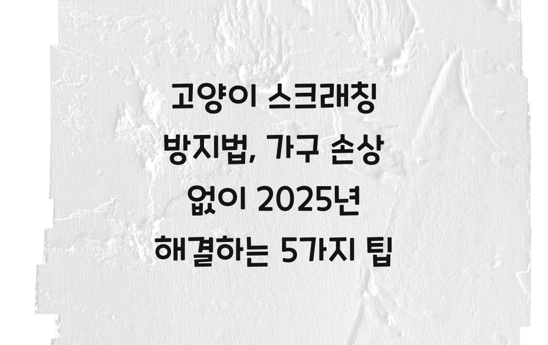 고양이 스크래칭 방지법, 가구 손상 없이 해결하는 5가지 방법