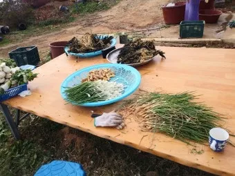 김장 적정 기온 절임 배추 보관 통풍 위치 점검_19