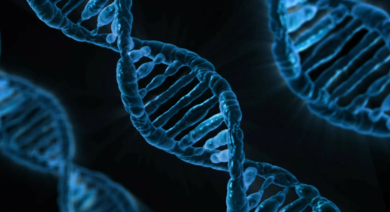 결절성 경화증(Tuberous Sclerosis Complex)