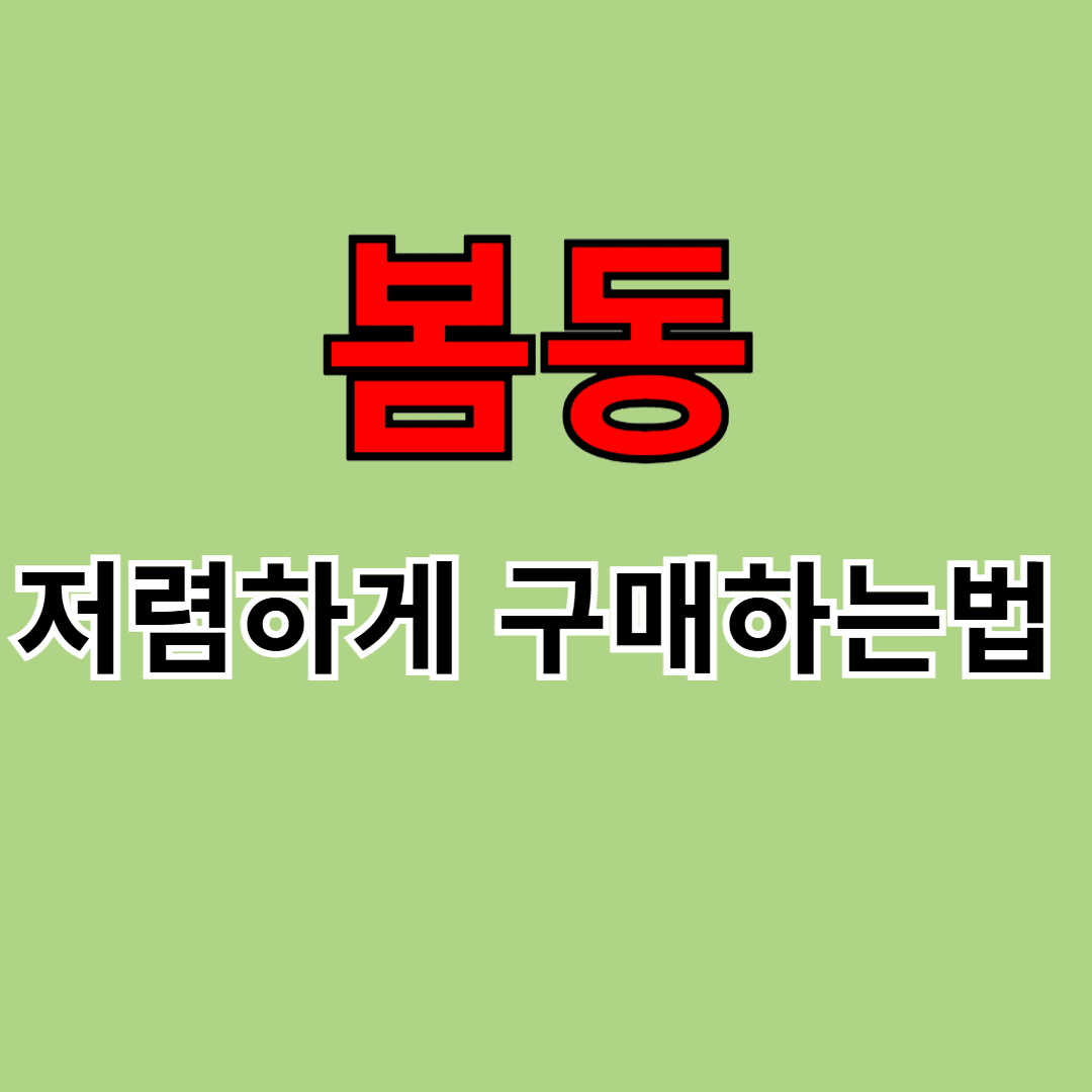 봄동사진