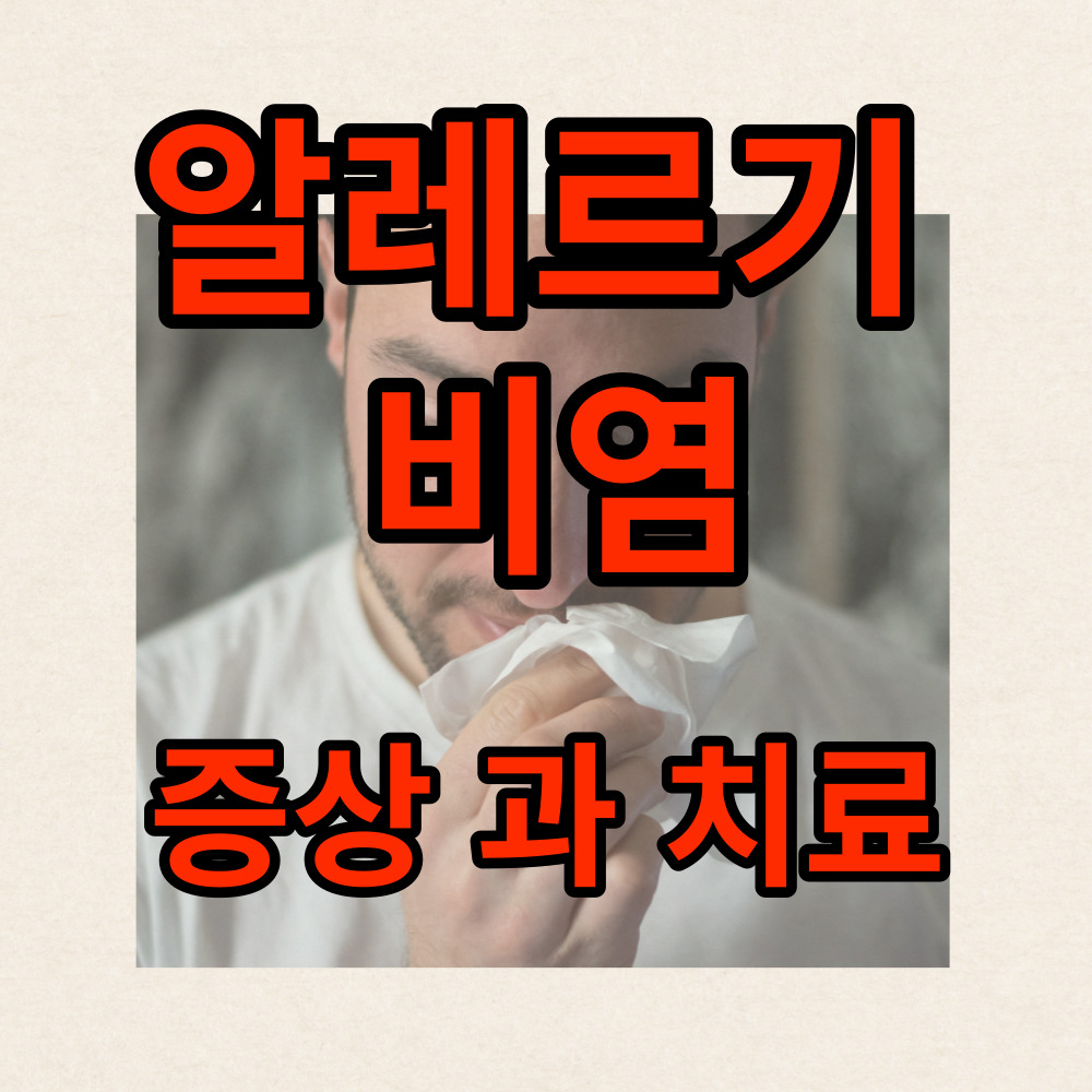 알레르기비염 증상 좋은