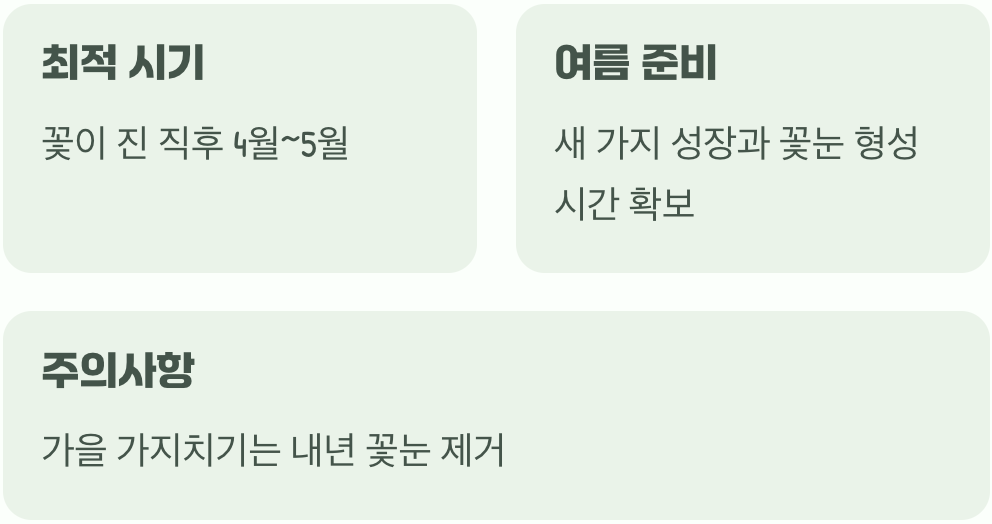 딱 맞는 시기는 바로 지금!