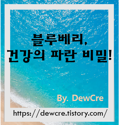 몸속부터 달라지는 건강 습관, 블루베리의 놀라운 효능