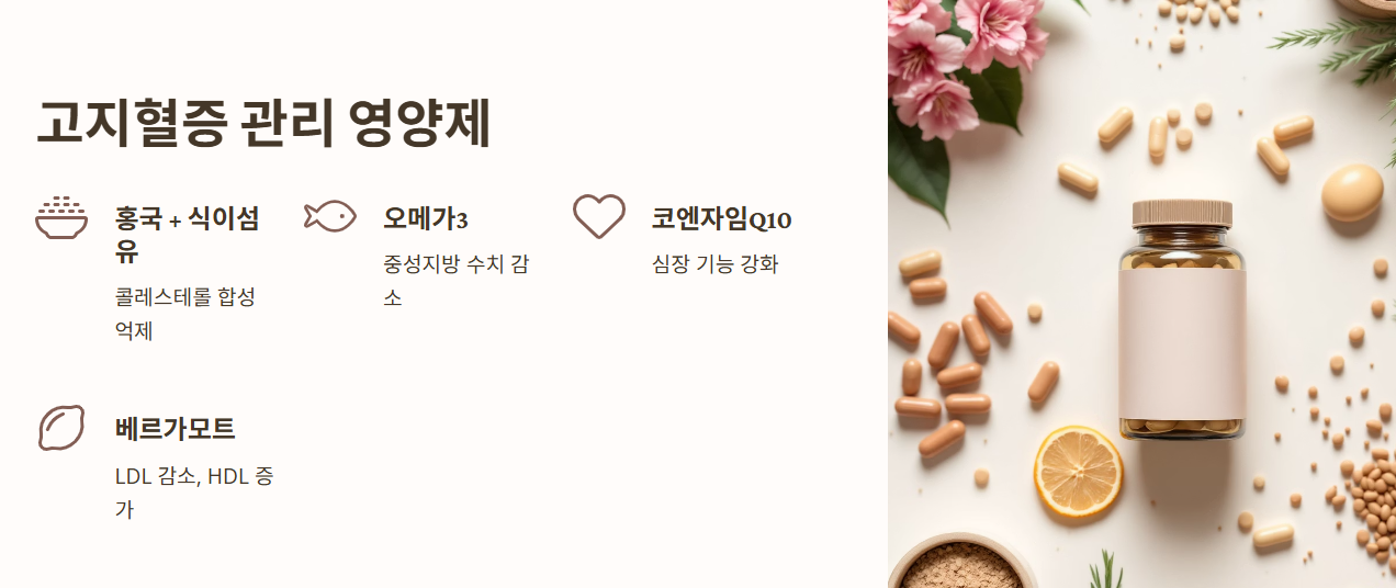 고지혈증에 좋은 영양제