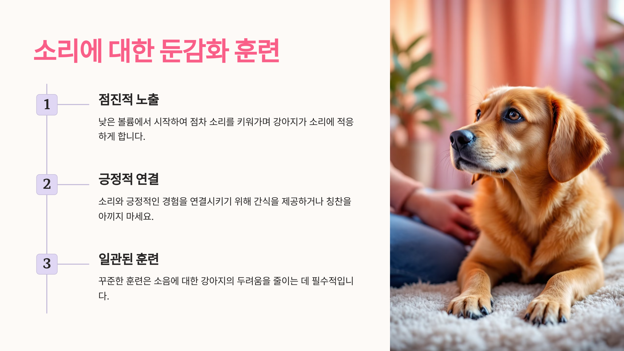 소리에 대한 둔감화 훈련