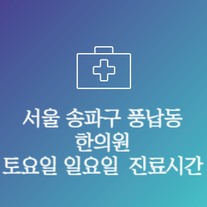 서울 송파구 풍납동 주말 토요일 일요일 문여는 병원 진료시간