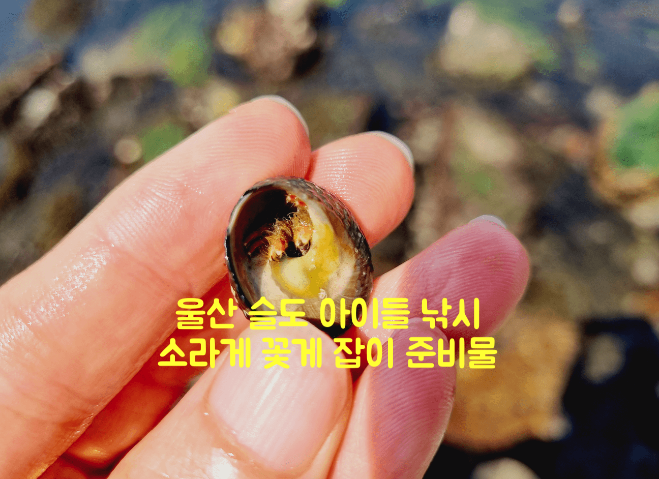 울산 슬도