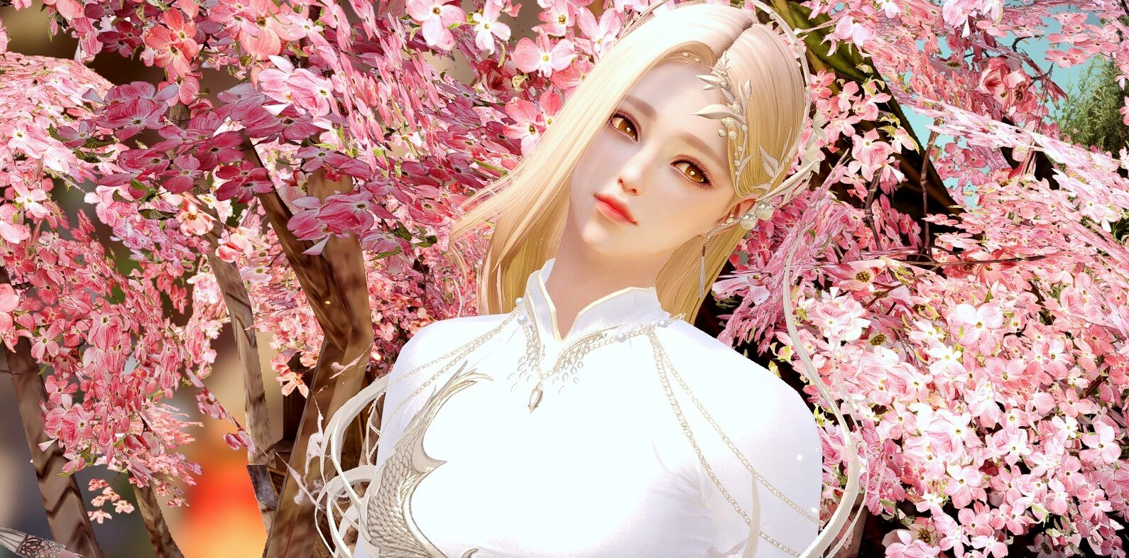 애니츠 커마8