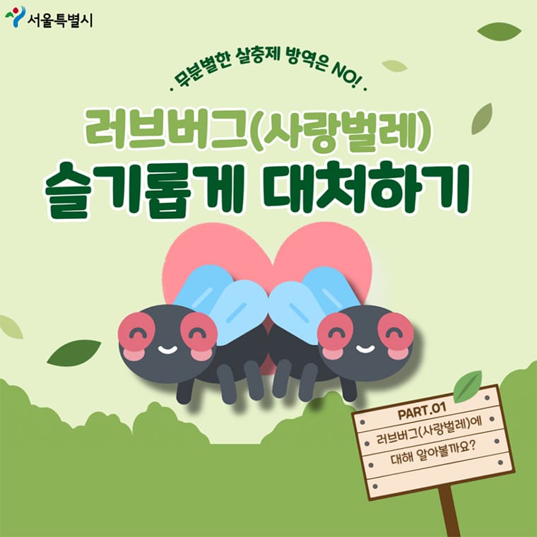 러브버그(붉은등우단털파리): 대량출몰 원인과 대처방법