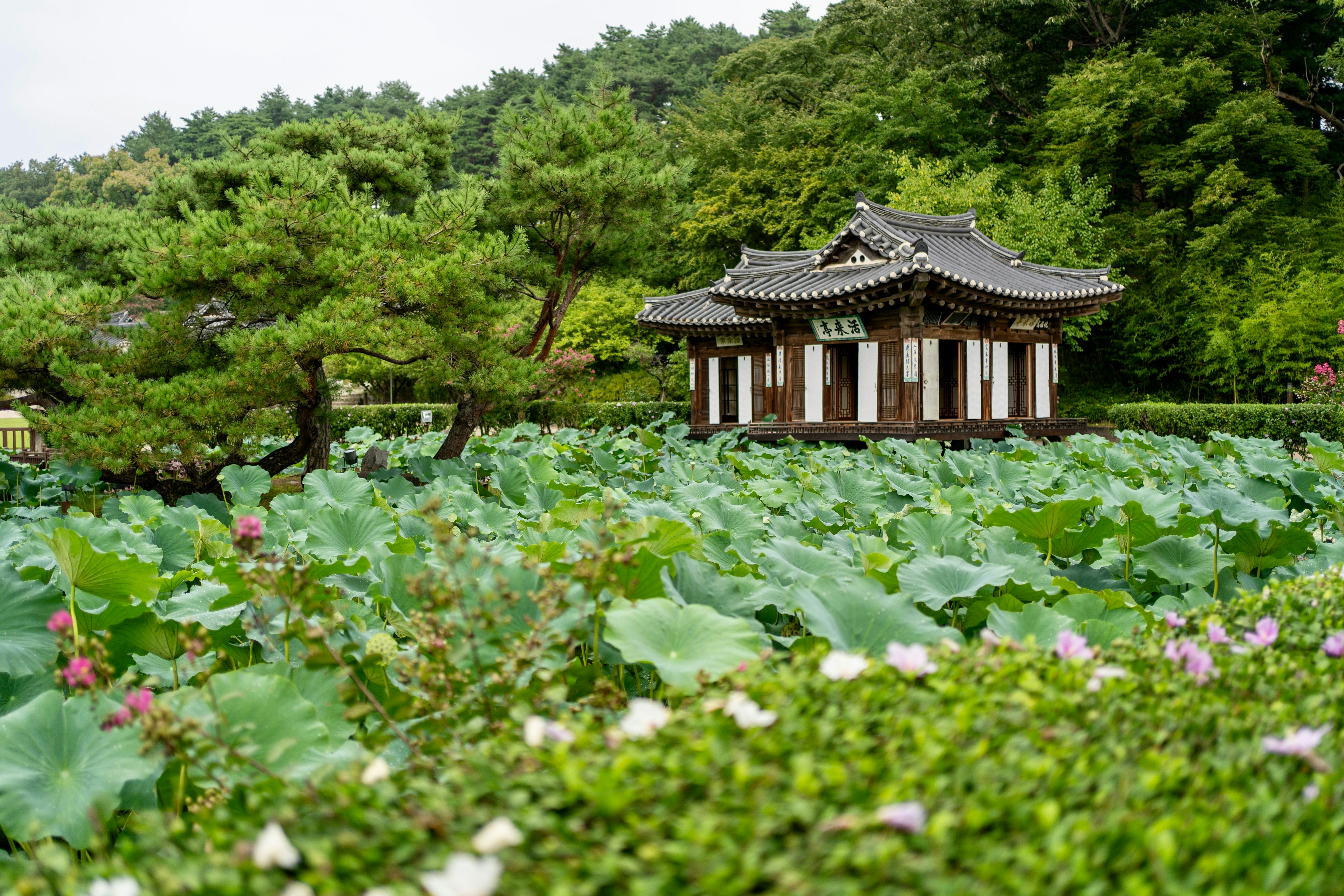 방문 전 확인할 것