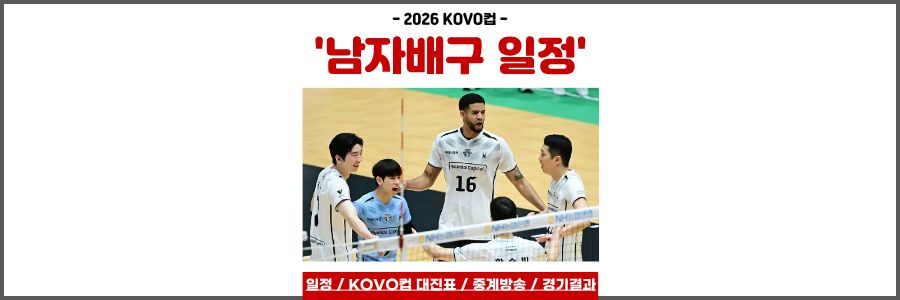 남자배구 일정