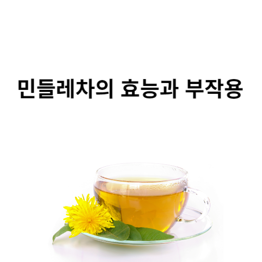 민들레차의 효능 및 부작용