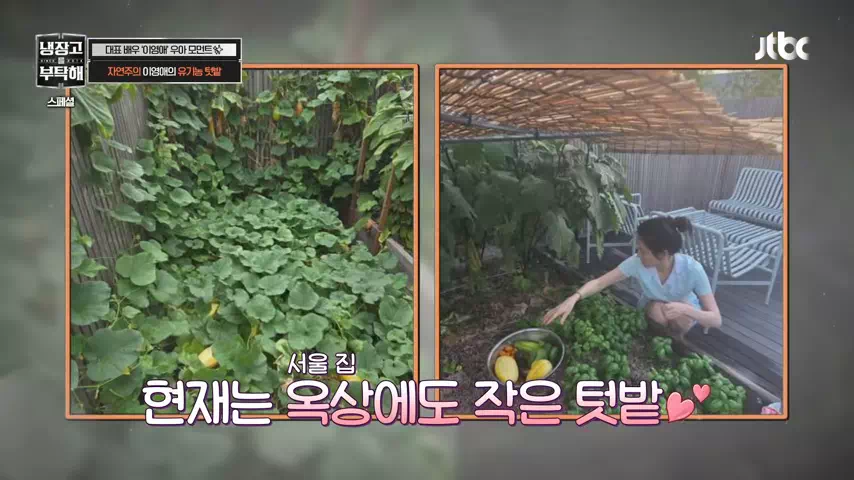이영애-냉부