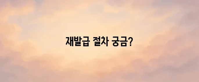 주민등록증 재발급 가이드