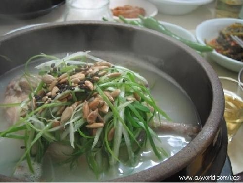 서울 삼계탕 맛집 추천