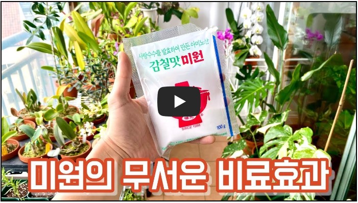 농부 유튜버 순위 TOP 10 7