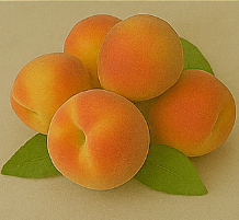 개복숭아효소의 효능