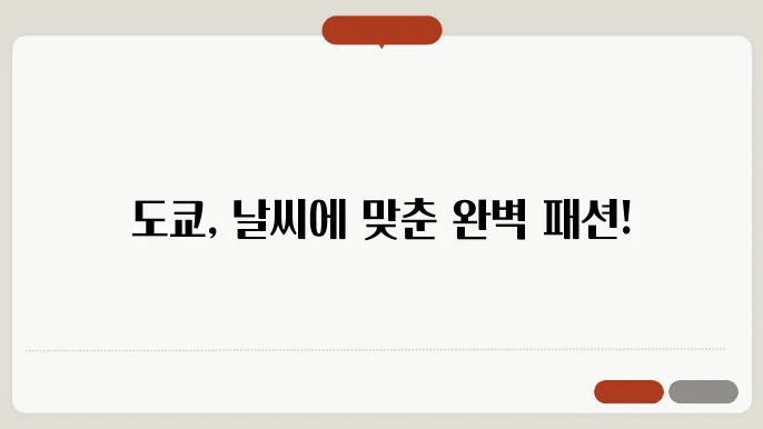 여름의 도쿄: 기온별 추천 의상과 날씨 대비 팁