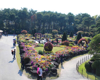 벽초지 수목원 가을꽃 국화축제_21