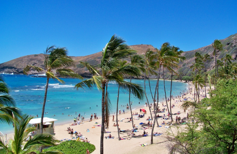 하와이 해변 사진