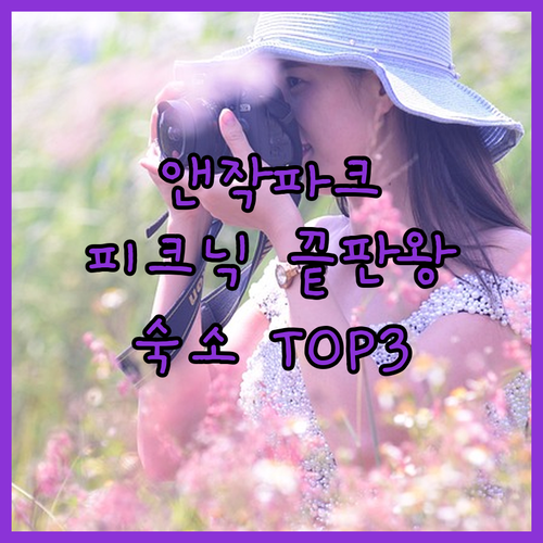 시드니 웨스트라이드 앤작 파크 피크닉..