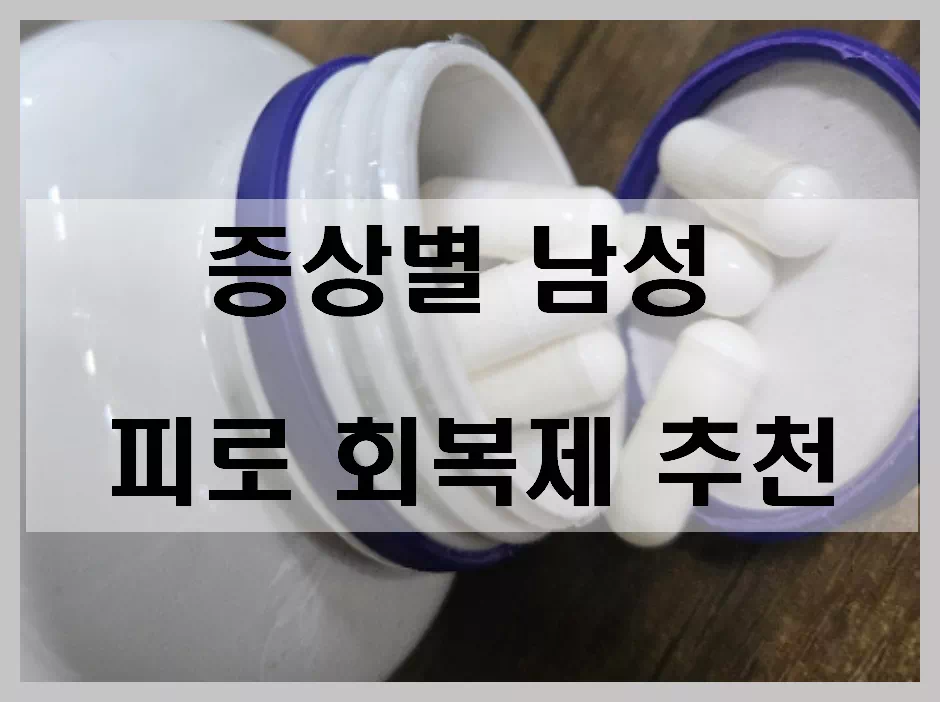 증상별 남성 피로 회복제 추천