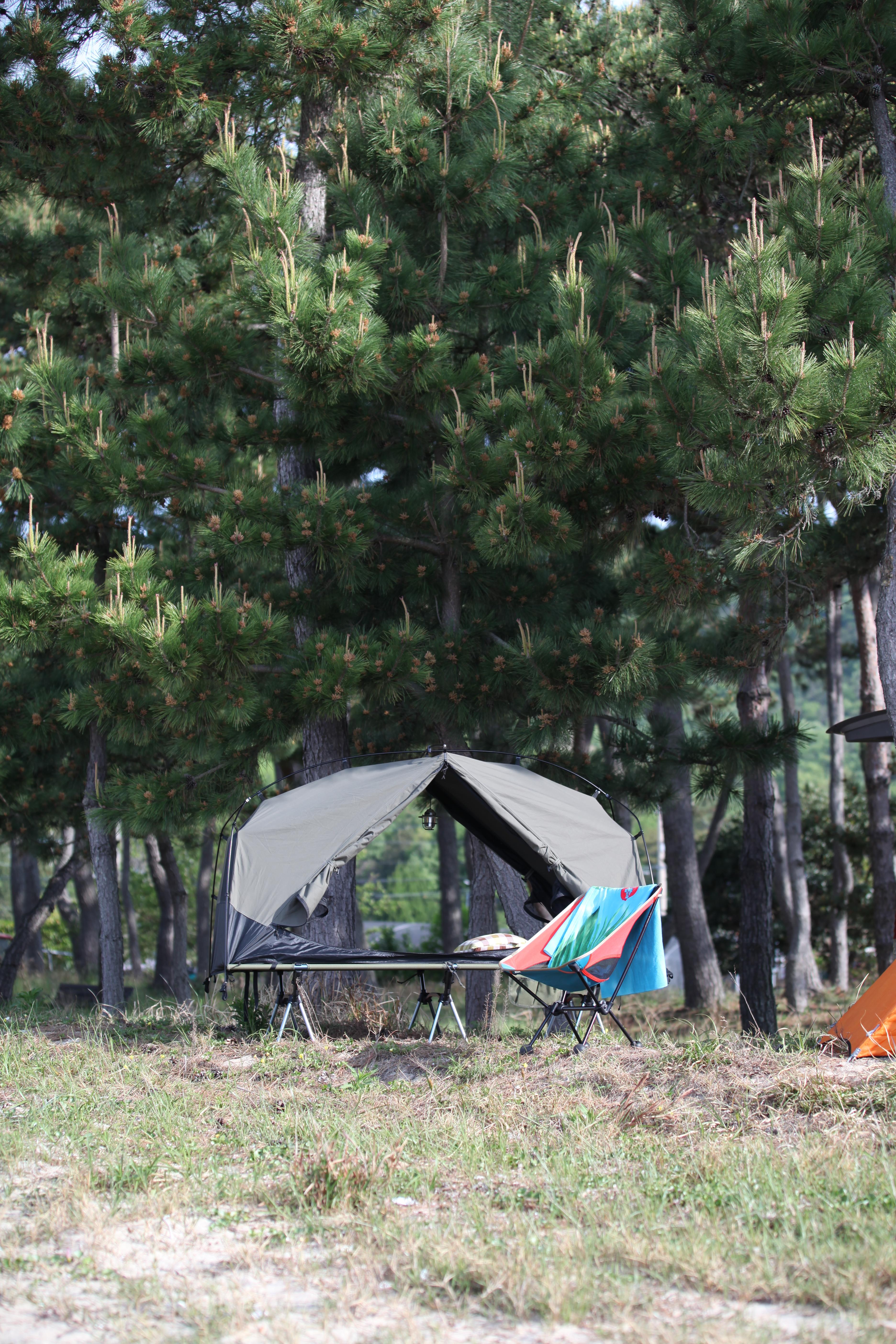 #캠핑체크리스트 #차박준비물 #백패킹체크리스트 #오토캠핑준비 #글램핑리스트 #여름캠핑 #캠핑준비도구 #캠핑초보 #2인캠핑 #캠핑팁 #캠핑장비리스트 