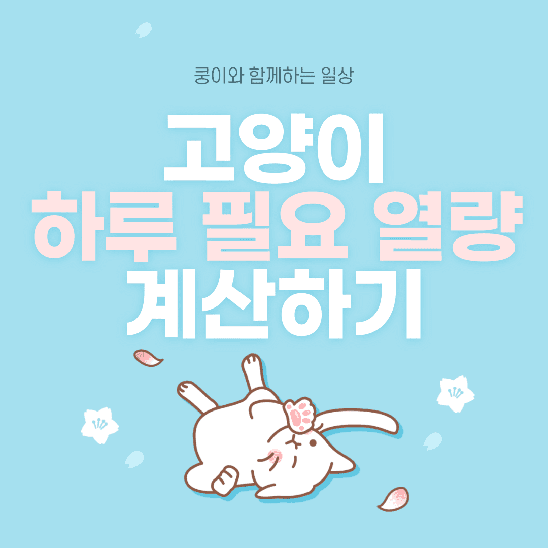 고양이 하루 필요 열량 계산하기