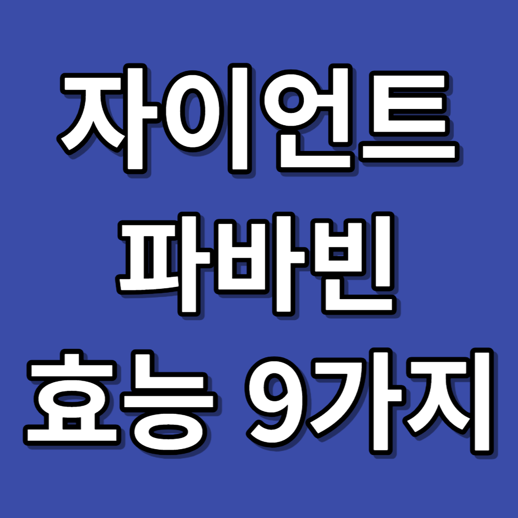 자이언트 파바빈 효능