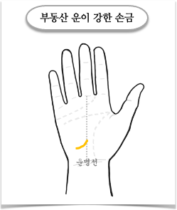 부동산 운이 강한 손금 만들기