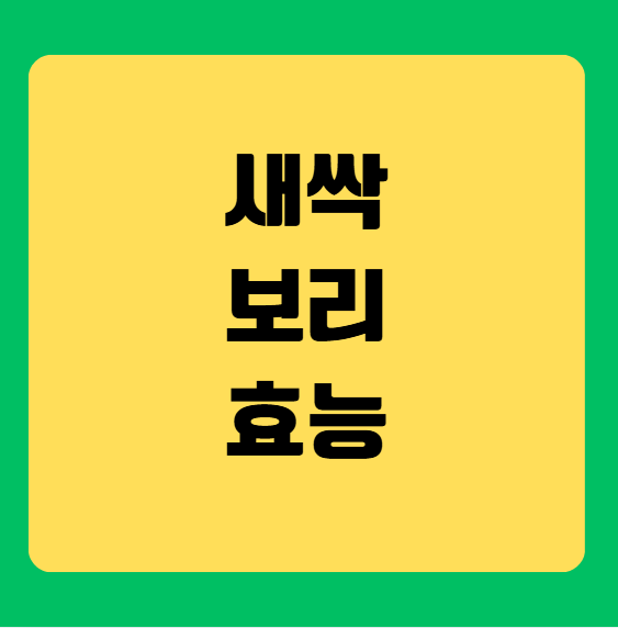 새싹보리 효능 효과(면역력 강화와 항산화 효과)