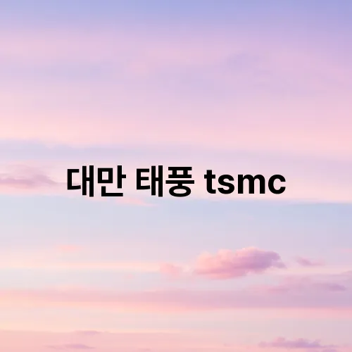 대만 태풍 tsmc