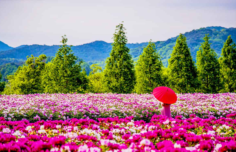 2026 합천 반값여행 지원신청 방법 조건 확인하기 여행코스 추천