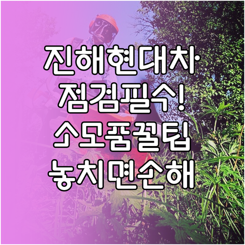 진해구 현대자동차 소모품 교체 및 정..