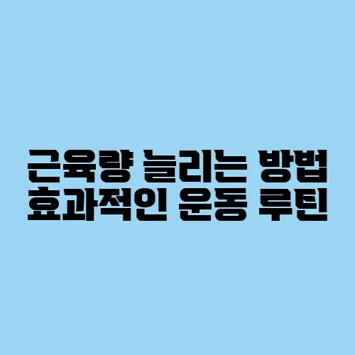 근육량 늘리는 방법 효과적인 운동 루틴