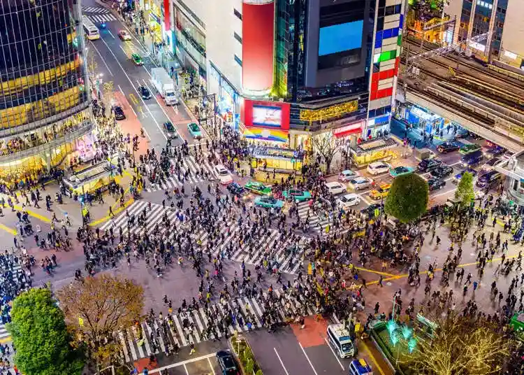 일본에서 치사율 30%에 달하는 STSS 감염병 확산