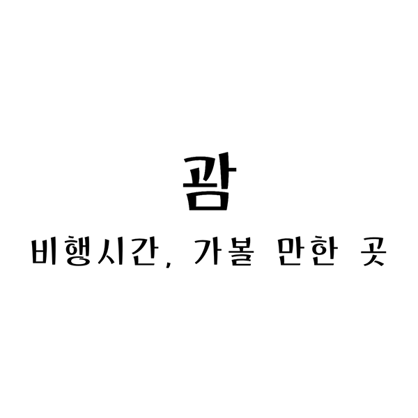 괌비행시간
