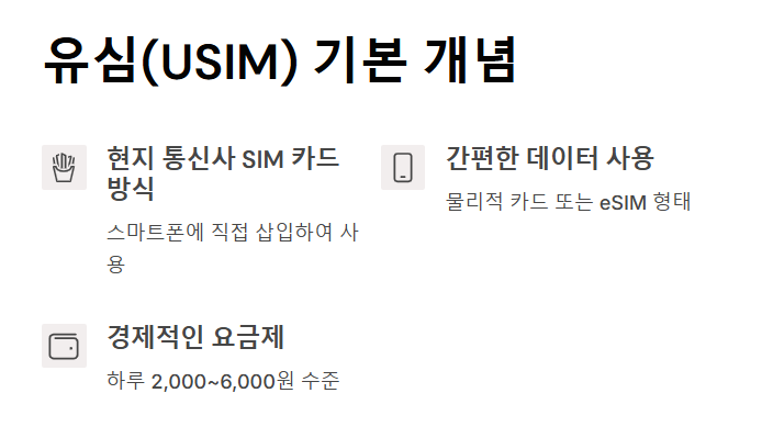 해외여행 유심 vs 포켓 와이파이 선택 가이드