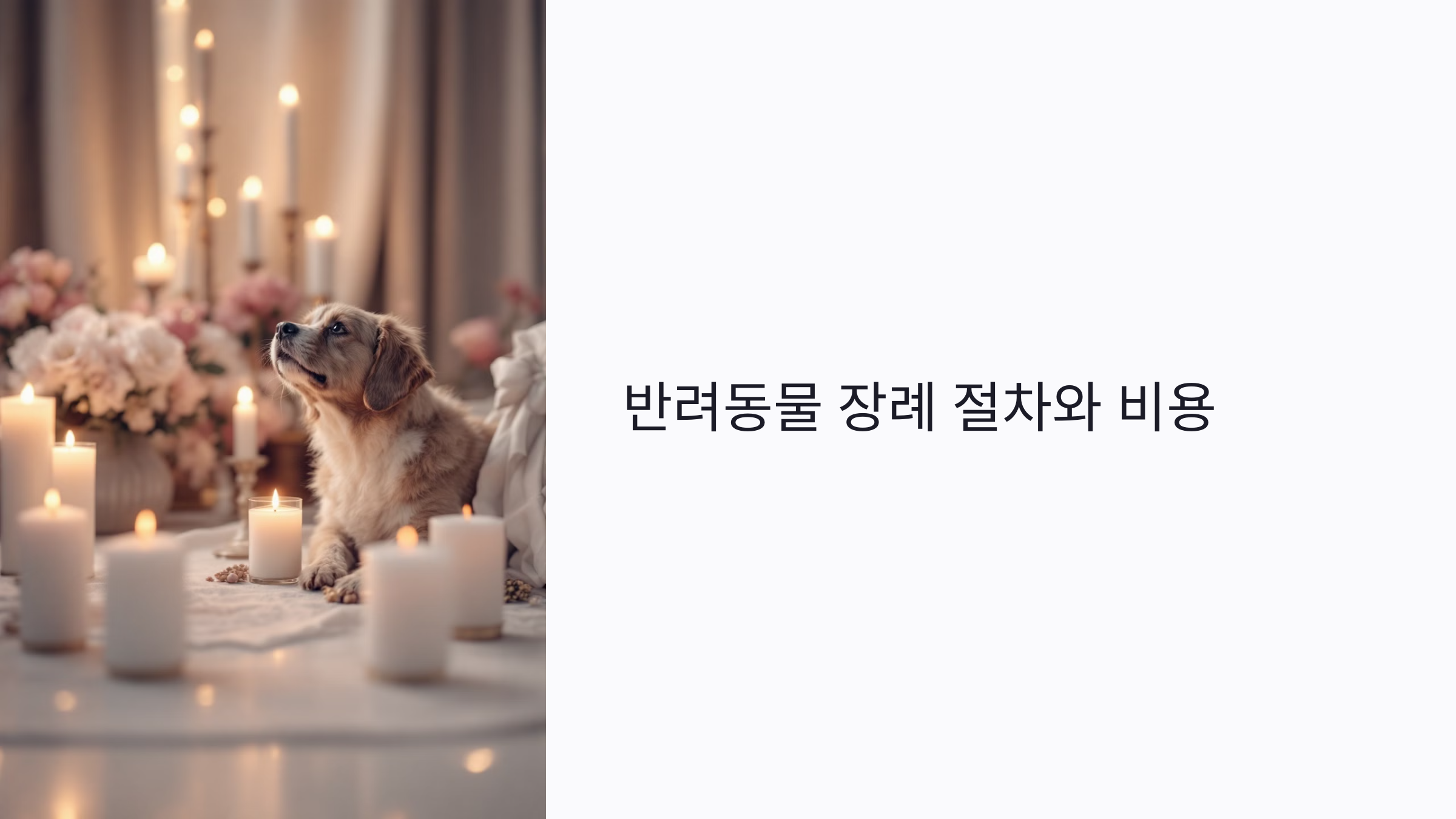 반려동물 장례 절차와 비용 총정리: 준비부터 화장까지 한눈에