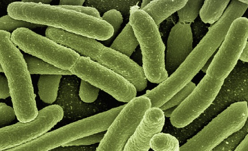 65세이상-대상포진-예방접종-무료-지원-신청방법