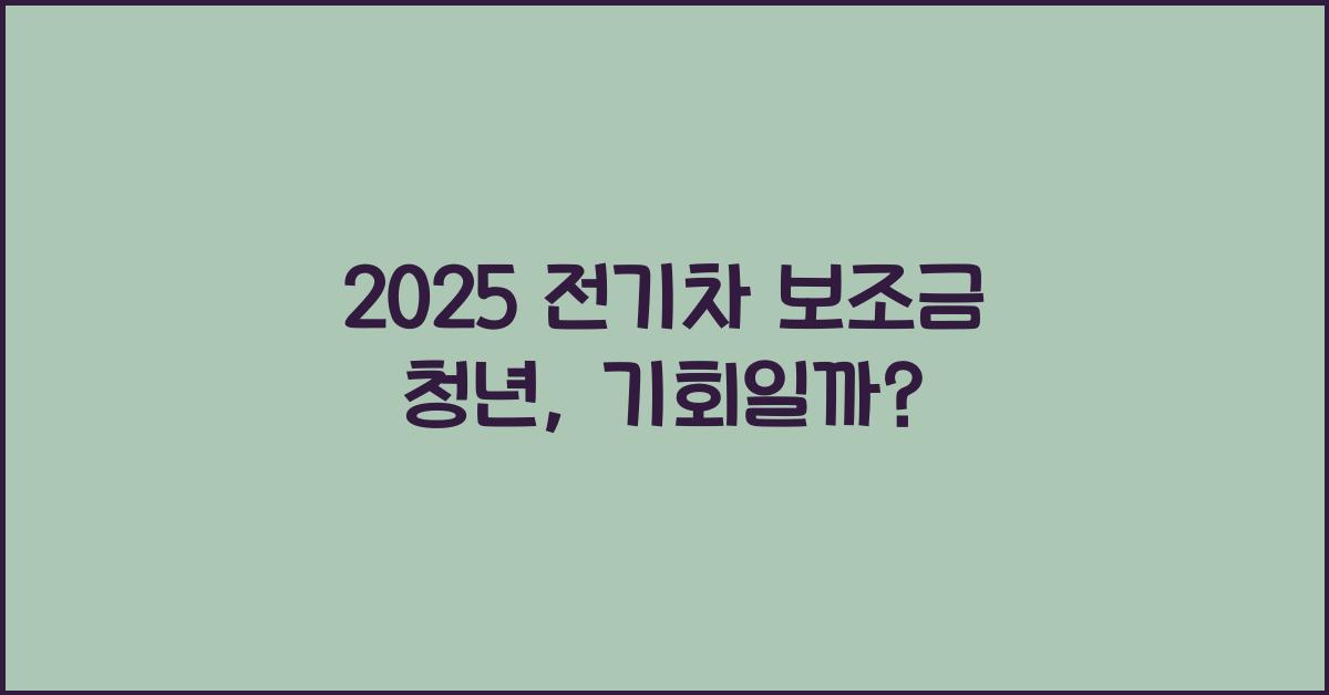 2025 전기차 보조금 청년